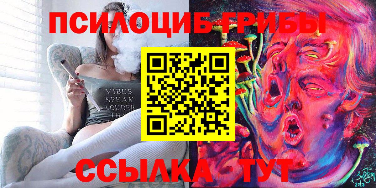 Псилоцибиновые грибы Cubensis  Вход с VPN  Углич 